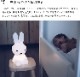 եȥ饤 ߥåե miffy and friends 饤   ܾ ե ե ե饤 ż LED饤 Ĵ ե  컨 ̲ ץ쥼  ƥꥢ лˤ