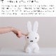 եȥ饤 ߥåե miffy and friends 饤   ܾ ե ե ե饤 ż LED饤 Ĵ ե  컨 ̲ ץ쥼  ƥꥢ лˤ
