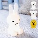  miffy and friends եȥ饤  ܾ ե ե ե饤 ż LED Ĵ ӥ