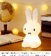  miffy and friends եȥ饤  ܾ ե ե ե饤 ż LED Ĵ ӥ