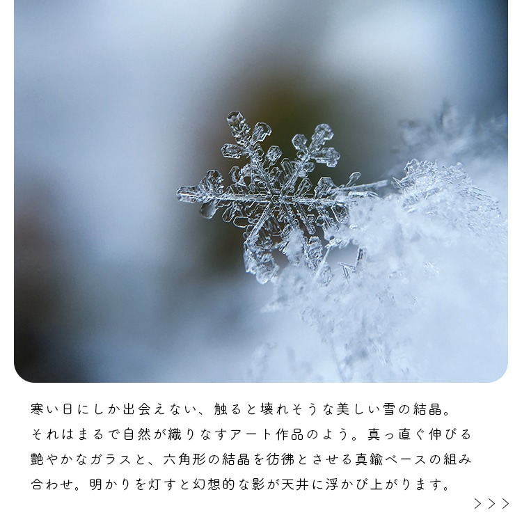 ڥȥ饤 kristalli ꥹ 1 |   ̲ ⸼ؾ ܾ 襤   ̽ 饤 ŷ E17 饹   뾽 ɹ ǥꥢ İ å ӥ  ȥ      pelata [ڥ饿]