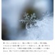 ڥȥ饤 kristalli ꥹ 1 |   ̲ ⸼ؾ ܾ 襤   ̽ 饤 ŷ E17 饹   뾽 ɹ ǥꥢ İ å ӥ  ȥ      pelata [ڥ饿]