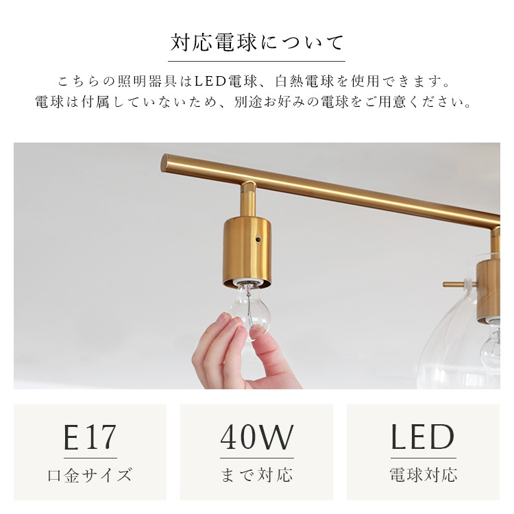 󥰥饤 feige ե 4 |   ̲ ܾ 襤  ƥꥢ ƥꥢ饤 饹  ꥢ E17 LED б   ˥ ӥ ٥åɥ롼  餷  schon[]