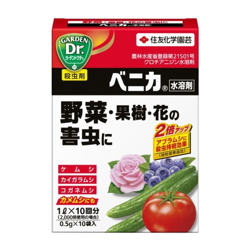 ٥˥Ϻ 0.5g10  ̼ ֤γ 