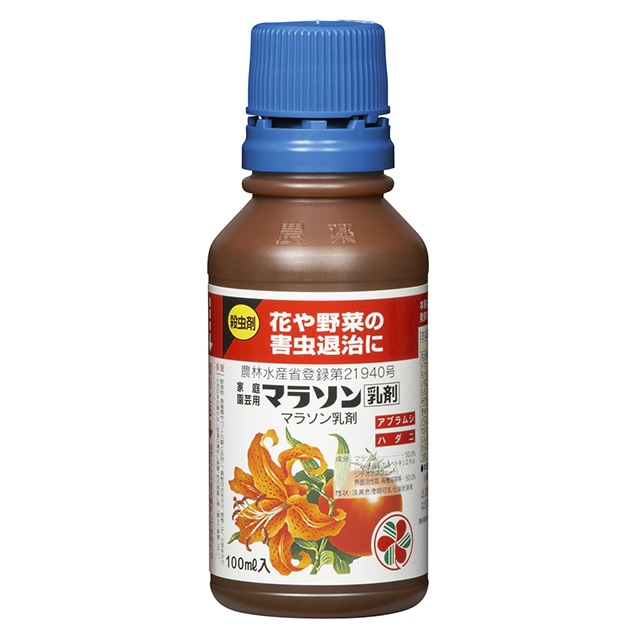 ͧر ѥޥ饽 100ml