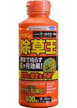 륭顼γ 400g/ܥȥ 180 ³