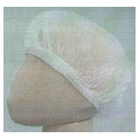 ֥å [㥿ԥͥå] ۥ磻 10010[1000] ̵