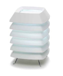 ����� �ॷ����� [Muscicapa] ���Ƴ��� �к� ���Х����