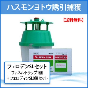 եͥȥå1ġܥեǥSL8ĥå ̵