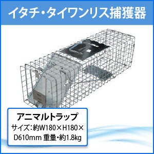  ꥹʹ ˥ޥȥå MODEL1078