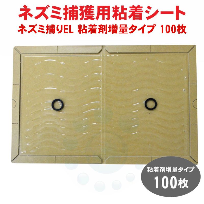 �緿�ͥ�����Ǵ������̥����� ��̳�� �ͥ������ EL Ǵ������̥����� 100�� �ͥ������ Ǵ�奷���� �ͤ��߶�� �ͥ��ߤȤ���