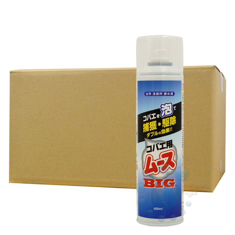 コバエ駆除 業務用コバエ用ムース 400ml増量タイプ×6本 【お買い得 