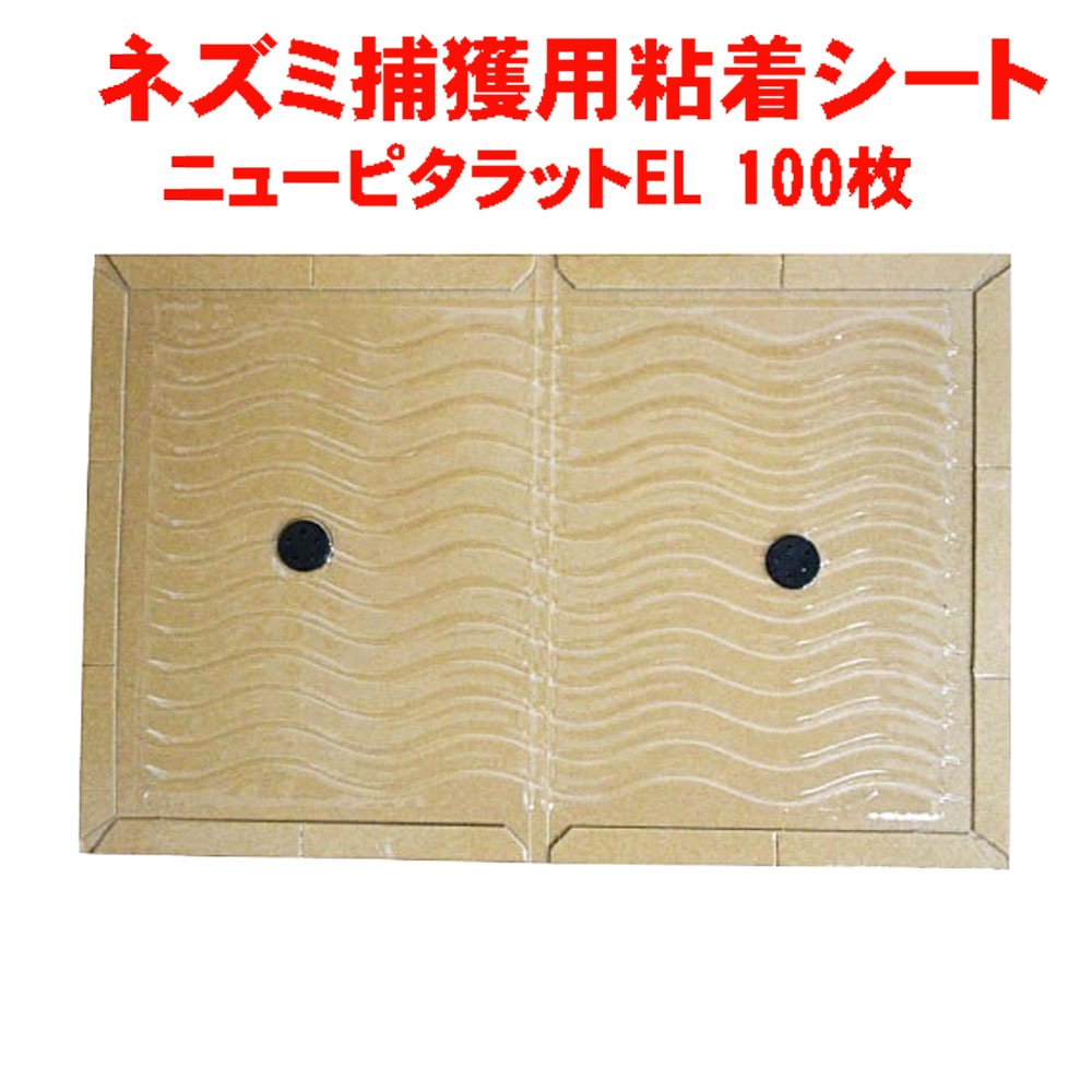 ネズミ 粘着シート ニューピタラットEL 100枚入 最安値ネズミシート