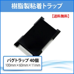  Хȥå40Ƕݽѡ۰ʪк 㥿ƥॷ Хॷ   Ǵ ꡼롼 