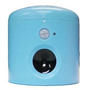 ����ǭ�к� ���˥ޥ�Хꥢ ����ե른��˥� �֥롼