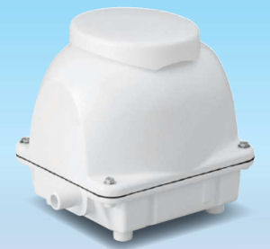 ޥ륫֥EcoMac40 ѥ֥ ݥ ֥ ե꡼󹩶