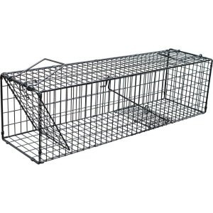  ꥹ ѡʹL˥֥å ưʪʹ