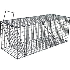 ưʪʹ凉ѡʹLL˥֥å  ꥹ ̡ȥꥢ 饤