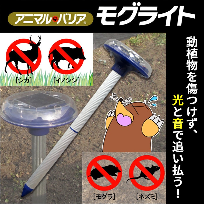 �⤰����� ���˥ޥ�Хꥢ �⥰�饤�� ���� ���Υ��� �⥰�� �ͥ��� �к� ����ʪ�ﳲ