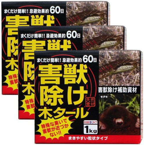 ýڥ1kg3Ȣ إ ⥰ڤ㤤3Ȣåȡ