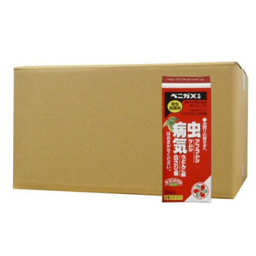 �٥˥�X���� 30ml��10�� ����ݺ�