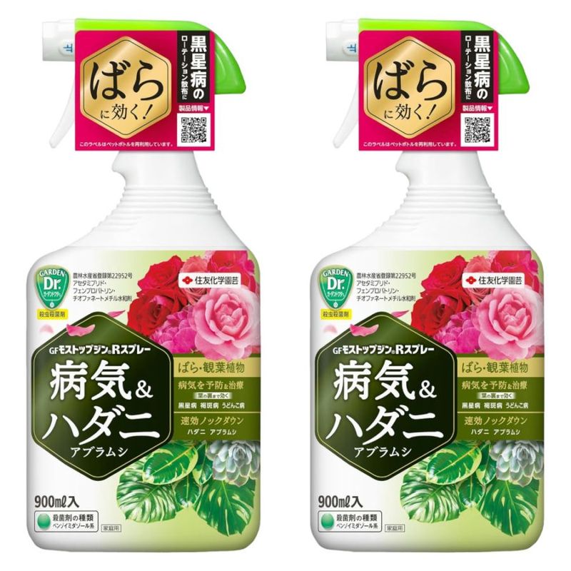 ͧر GF ⥹ȥåץRץ졼 900ml2