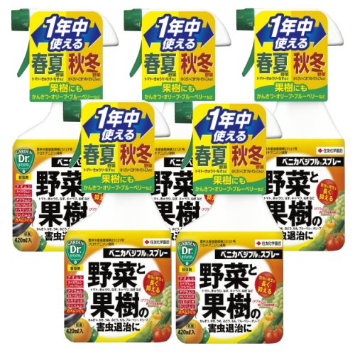 ��ͧ���ر�� �٥˥��٥��ե륹�ץ졼 420ml�ߣ�������