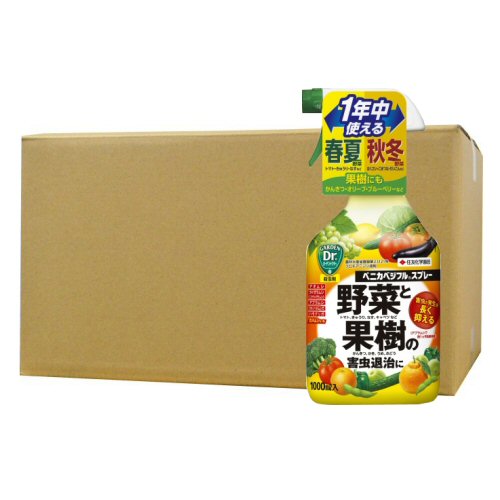 ��ͧ���ر�� �٥˥��٥��ե륹�ץ졼 1000ml��15��