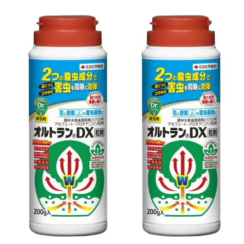 ��ͧ���ر�� ����ȥ��DXγ�� 200g��2�� �����