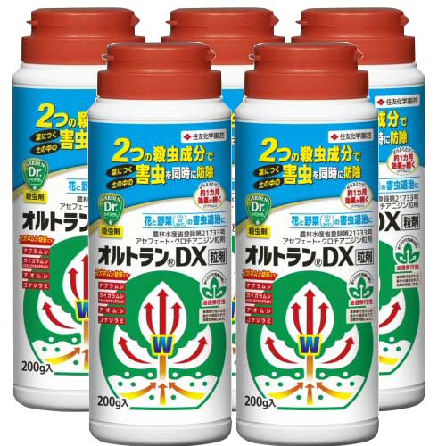 ��ͧ���ر�� ����ȥ��DXγ�� 200g��5�� �����