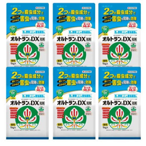 ��ͧ���ر�� ����ȥ��DXγ�� 1kg��6�� �����