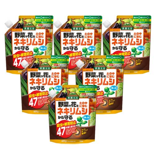 �ͥ���٥��� 600g��10�� ����� ��������