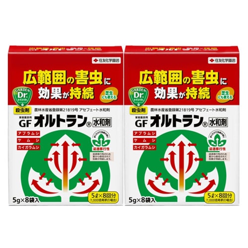 ��������� GF����ȥ����º� ��5g��8�ޡˡ�2�� ���� �����