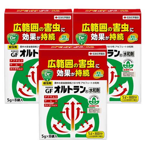 GFȥº 5g8ޡ3 