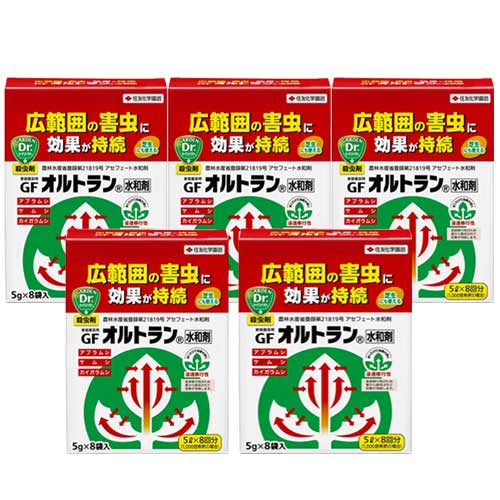 GFȥº 5g8ޡ5 