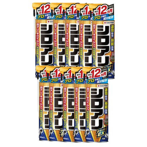 ͧر ꥢåEX 480ml10  򥢥  