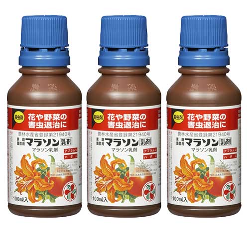 ��ͧ���ر�� ��������ѥޥ饽������ 100ml��3��