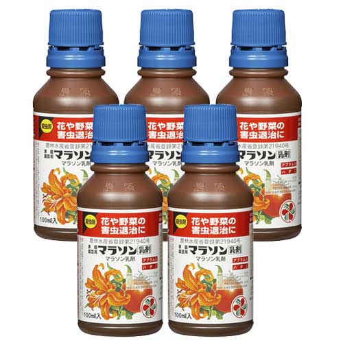 ͧر ѥޥ饽 100ml5