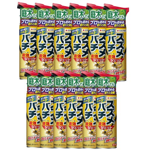 ͧر Х 480ml12 ˪ ϥ ɽ ץ졼