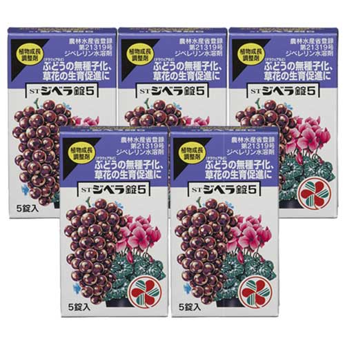 ��ͧ���� ST���٥��5 5������5�� ��ʪ��ĹĴ����