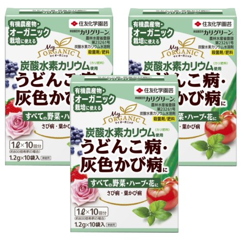 ͧر ꥰ꡼ 1.2g10ޡ3   ̼ 