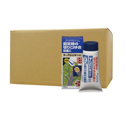 ͧر ȥåץM ڡ 100g10   ̼ ͽ 