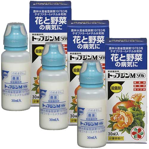 ѥȥåץM 30ml3 ݺ