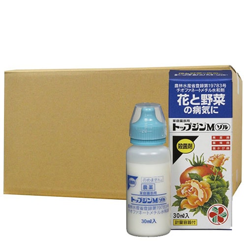 ��������ѥȥåץ���M���� 30ml��10�� ���ݺ�