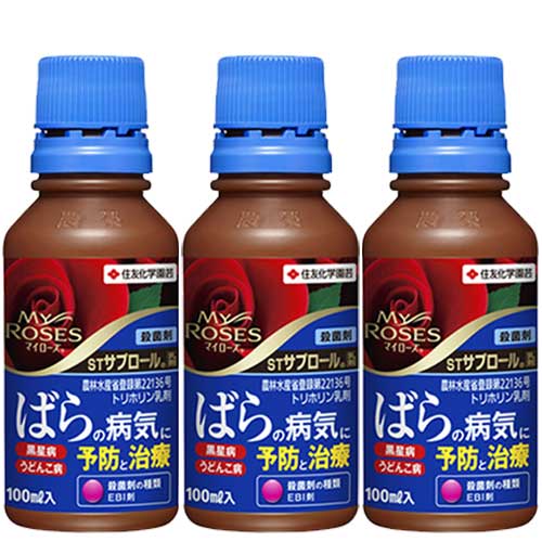 ͧر STץ 100ml3 ݺ