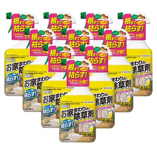 ����� ���༣�����磻�� 1000ml��10�� KINCHO���