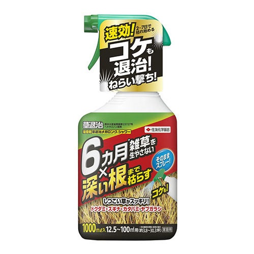  ༣ᥬ󥰥 1000ml