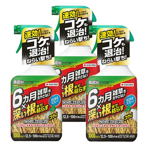 ����� ���༣�ᥬ���󥰥��� 1000ml��3��