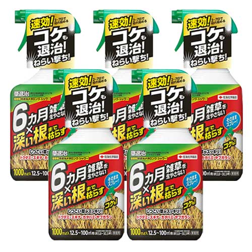 ����� ���༣�ᥬ���󥰥��� 1000ml��5��