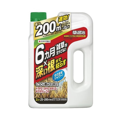 ����� ���༣�ᥬ���󥰥��� 2L